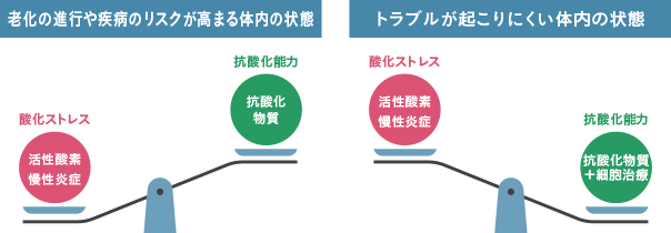 老化の進行や疾病のリスクが高まる体内の状態／トラブルが起こりにくい体内の状態