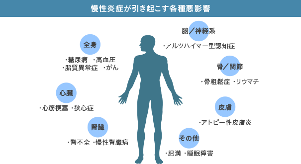 慢性炎症が引き起こす各種悪影響