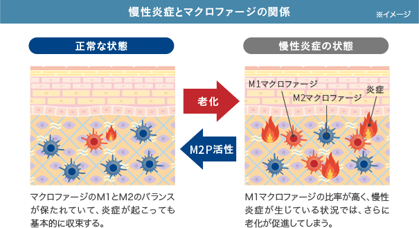 厳しく管理された品質 イメージ